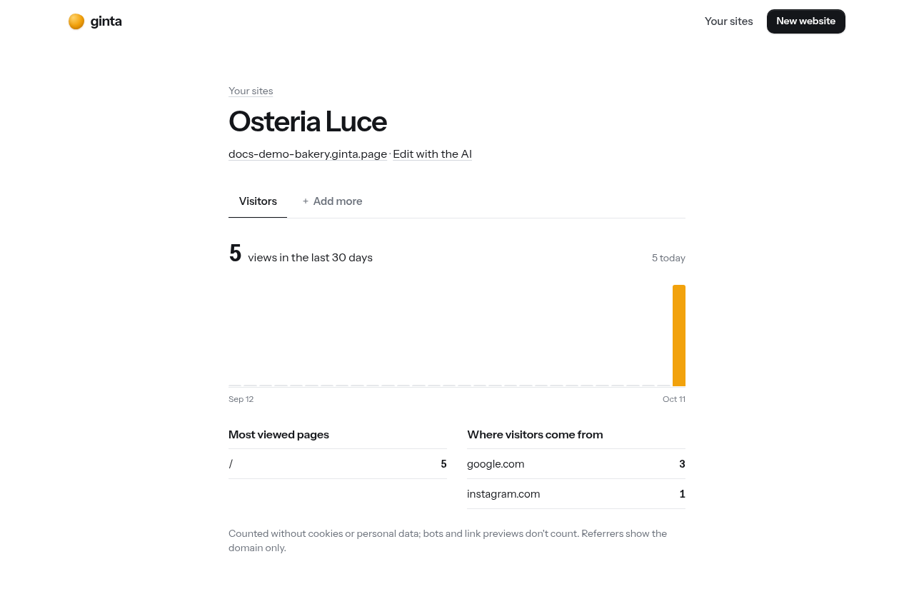 Manage → Visitors: views per day, top pages, where visitors come from