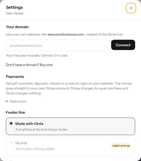Settings: Your domain, with a box to type your domain and a Connect button. Your Free plan includes 1 domain